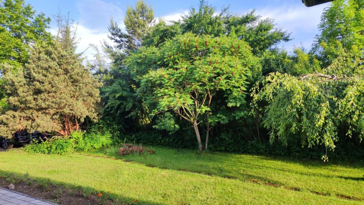 Osrodek Wczasowy Krasniczanka Hotell Muszyna Exteriör bild